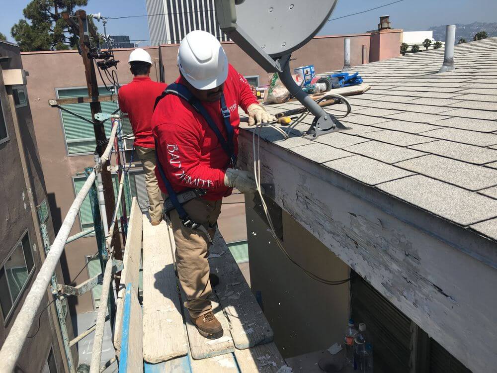 Is Fumigation the Best Method for Drywood Termites?