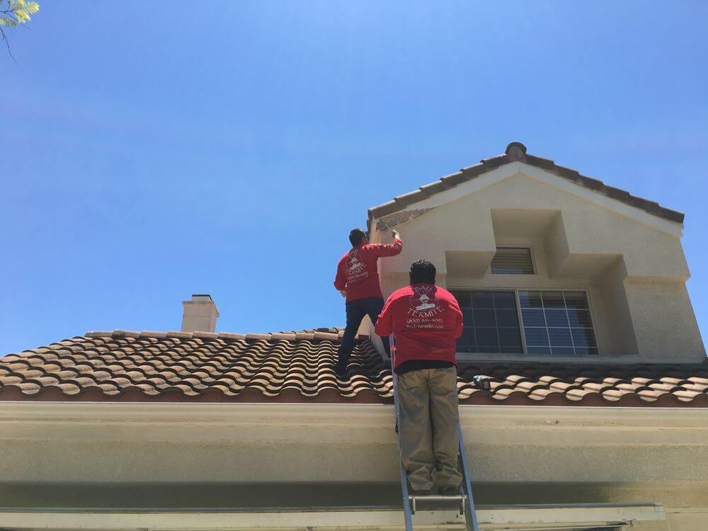 Seasonal Pest Control: Preparing for Spring Rains