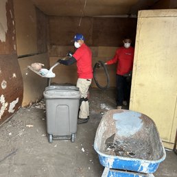 What Damage Can Termites Cause to Wooden Structures?