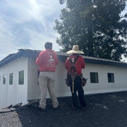 What Are the Signs of a Pest Emergency?