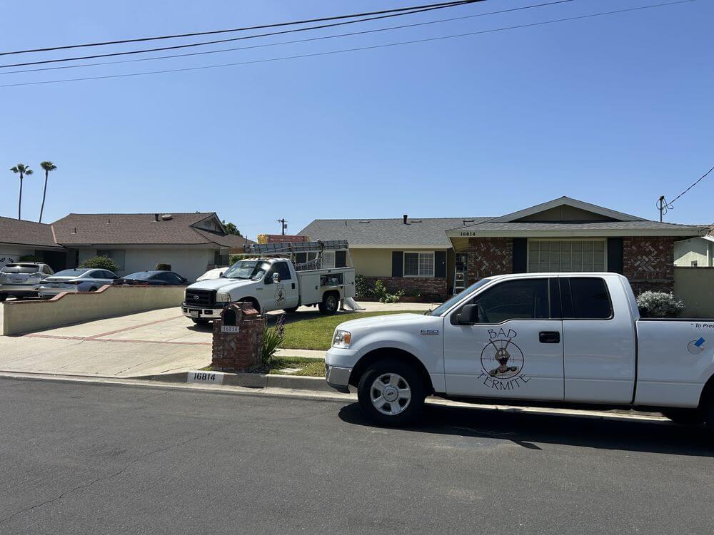 Four Questions to Ask Your Pest Control Company