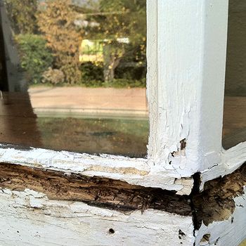 How Termite Damage Affects Home Value