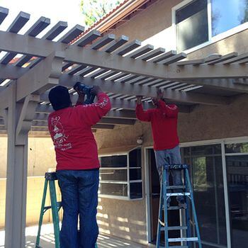 Safe Pest Control Around Kids and Pets: What To Know