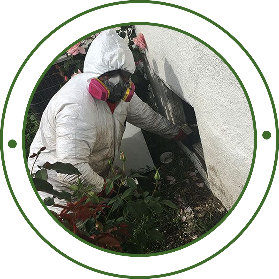 Technician in a protective suit and respirator treating a gap along an exterior wall