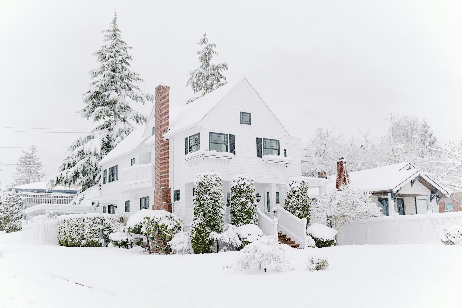DIY Pest Control in Winter? 5 Risks You Should Know About