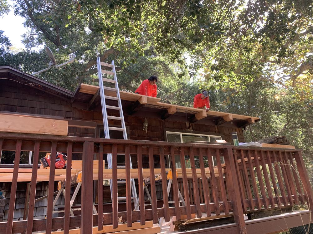 Bad Termite - Pest Control Near Me - Granada Hills (4)