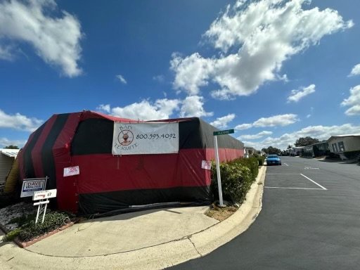 The Pros and Cons of Bait Stations for Termites